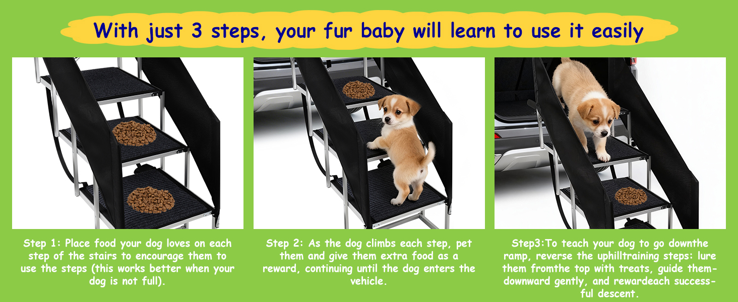 Dog Stairs for Large Dogs
