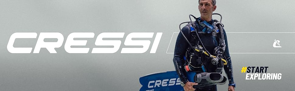 Logo and diver