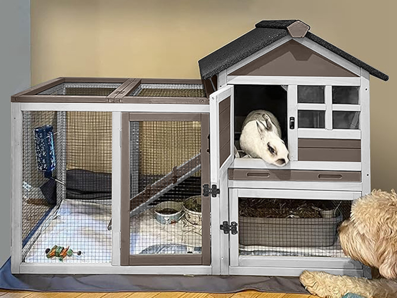 rabbit hutch