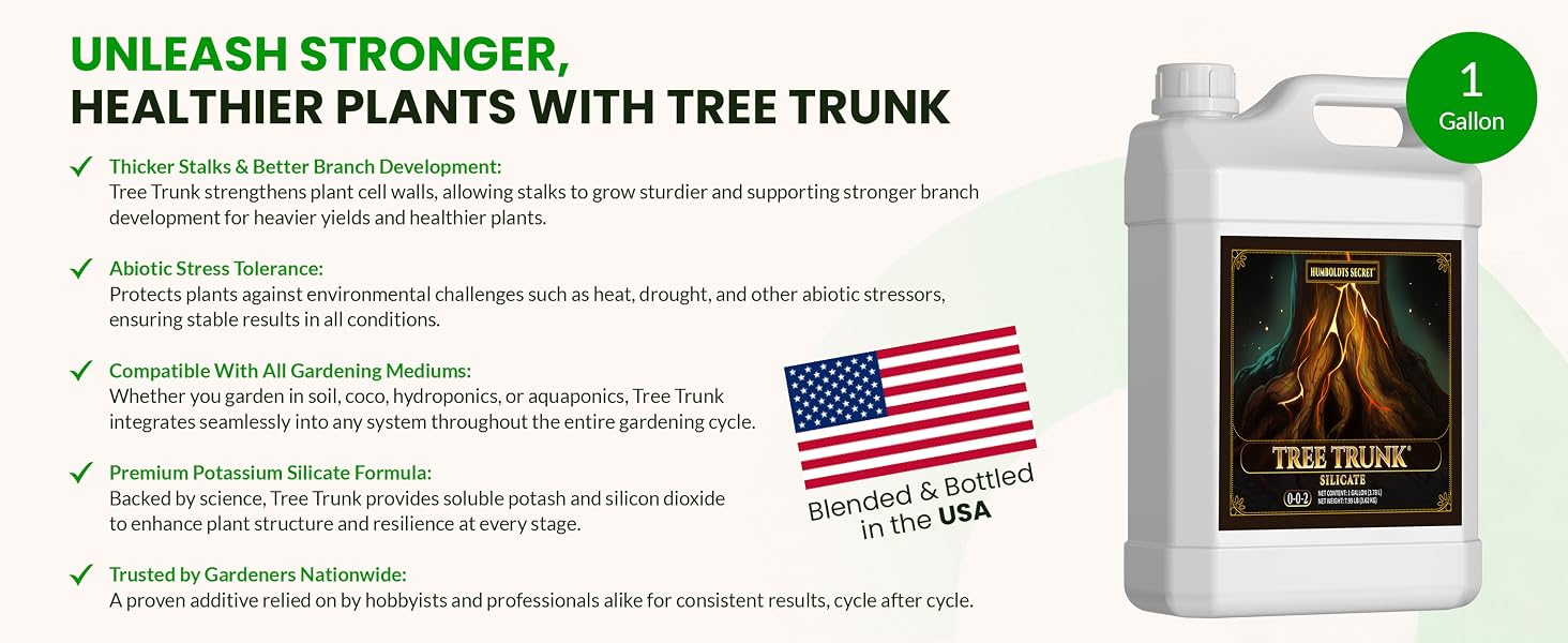 Tree Trunk