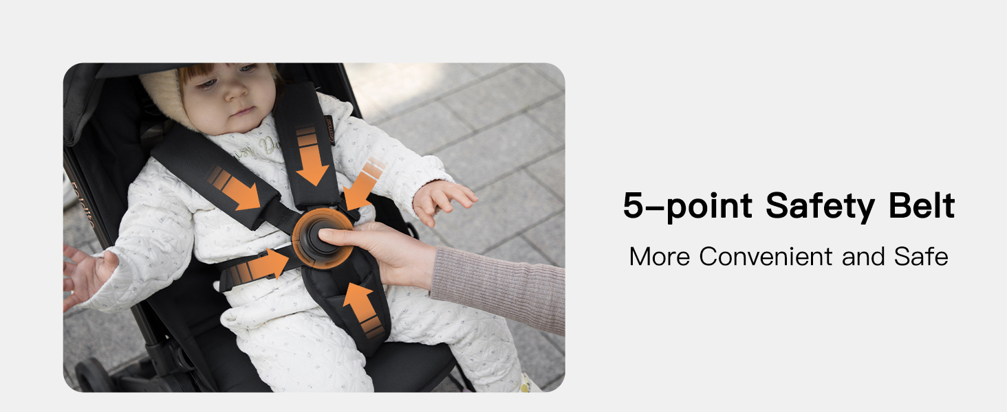 5-point Safety Belt