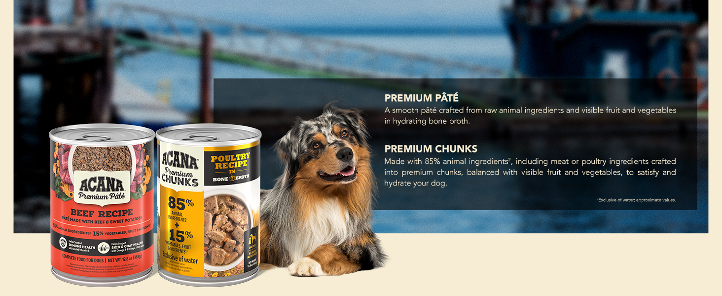 Premium Pate and Chunks Wet Dog Foods