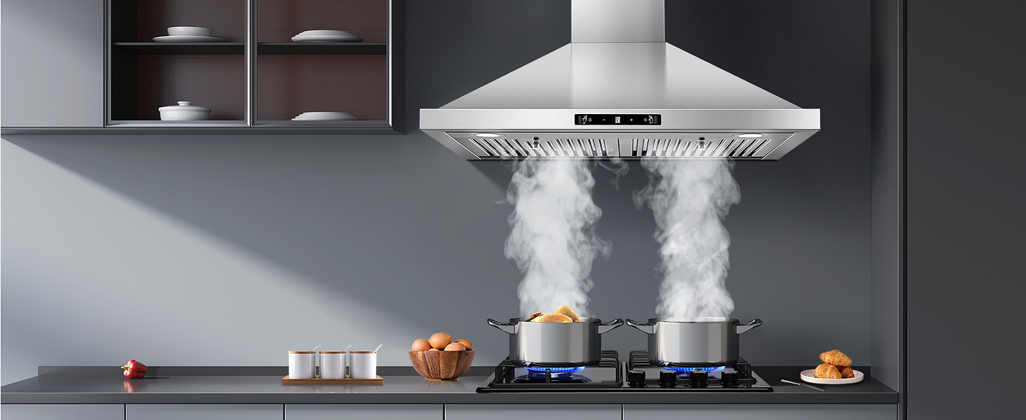 30 inch range hood