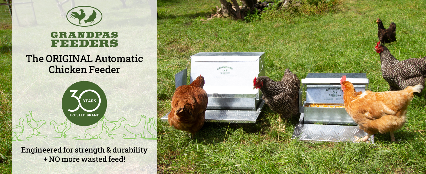 grandpas feeders automatic chicken galvanized steel poultry feeders rat proof no spill weatherproof