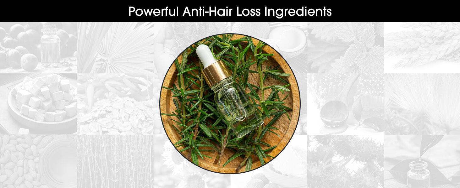Shiny Leaf DHT shampoo and conditioner - Biotin Castor Oil Rosemary Champú acondicionador anticaída