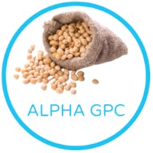 neuroBLISS - Alpha GPC