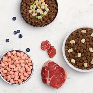 instinct cat food, raw cat food