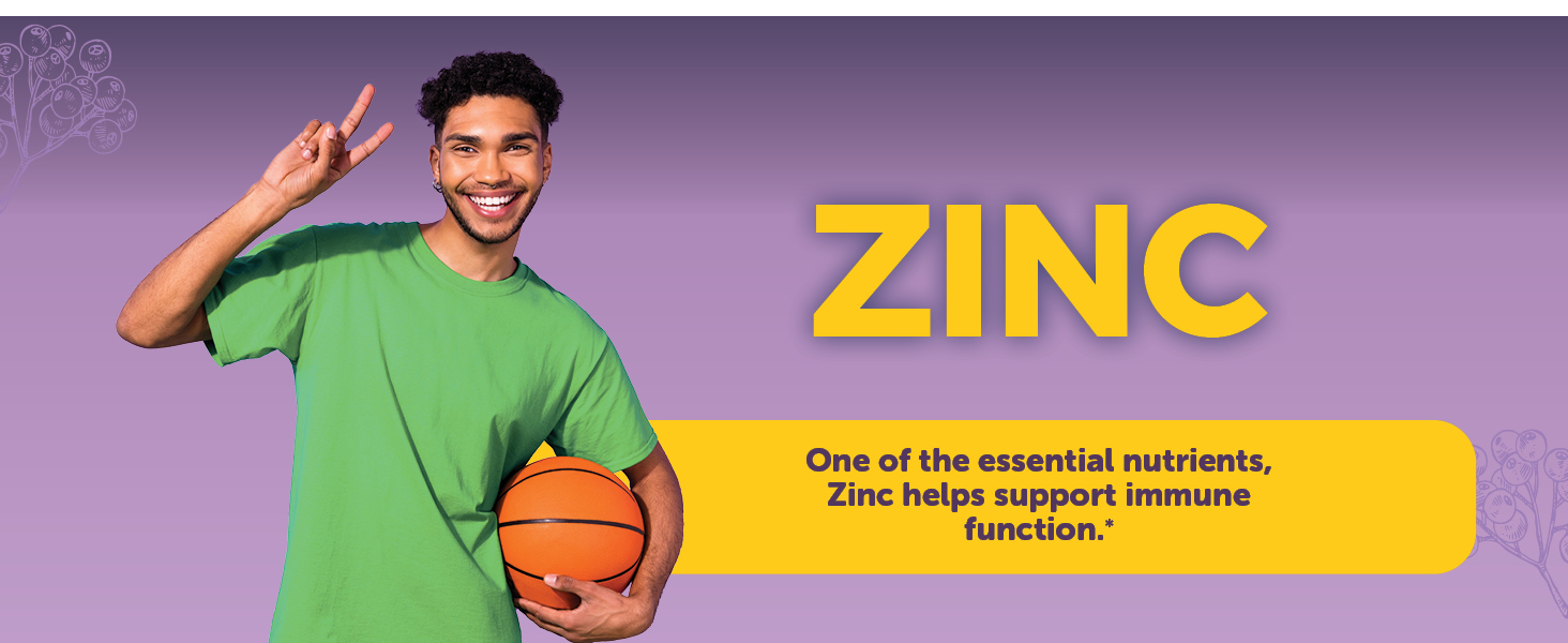 elderberry vitamins elderberry immune support elderberry supplements elderberry for adults zinc