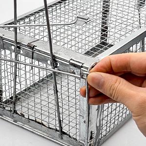 rat trap