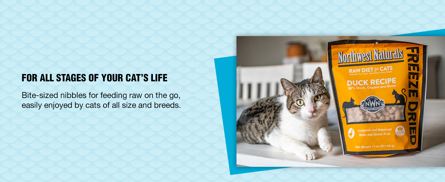 FOR ALL STAGES OF YOUR CAT's LIFE. Bite-sized nibbles for feeding raw on the go.