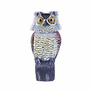 owl decoy