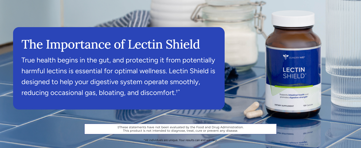 gut health digestion digestive lectin bloating