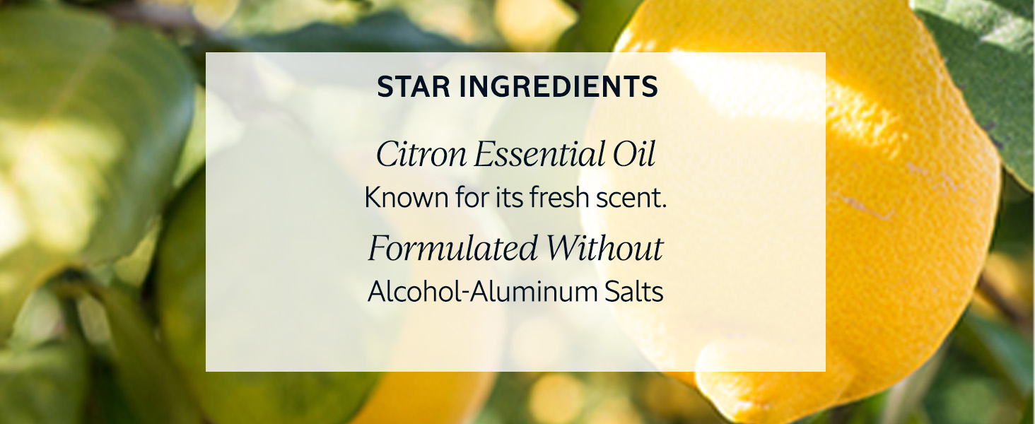 Citron Essential Oil
