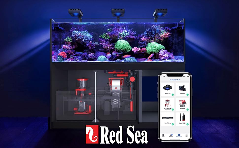Red Sea Headliner