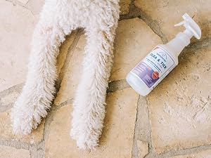 wondercide rosemary flea flee tick spray tic dog cat puppy kitten natural plant ingredients