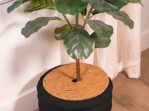 mulch rubber mulch rubber mulch mat tree ring mulch mat tree rings landscaping
