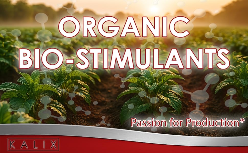 Field crops with roots and molecular overlays showing biostimulant activity and nutrient uptake