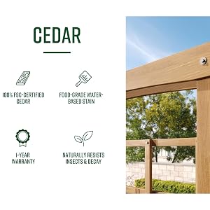 Cedar
