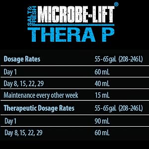 therap 8