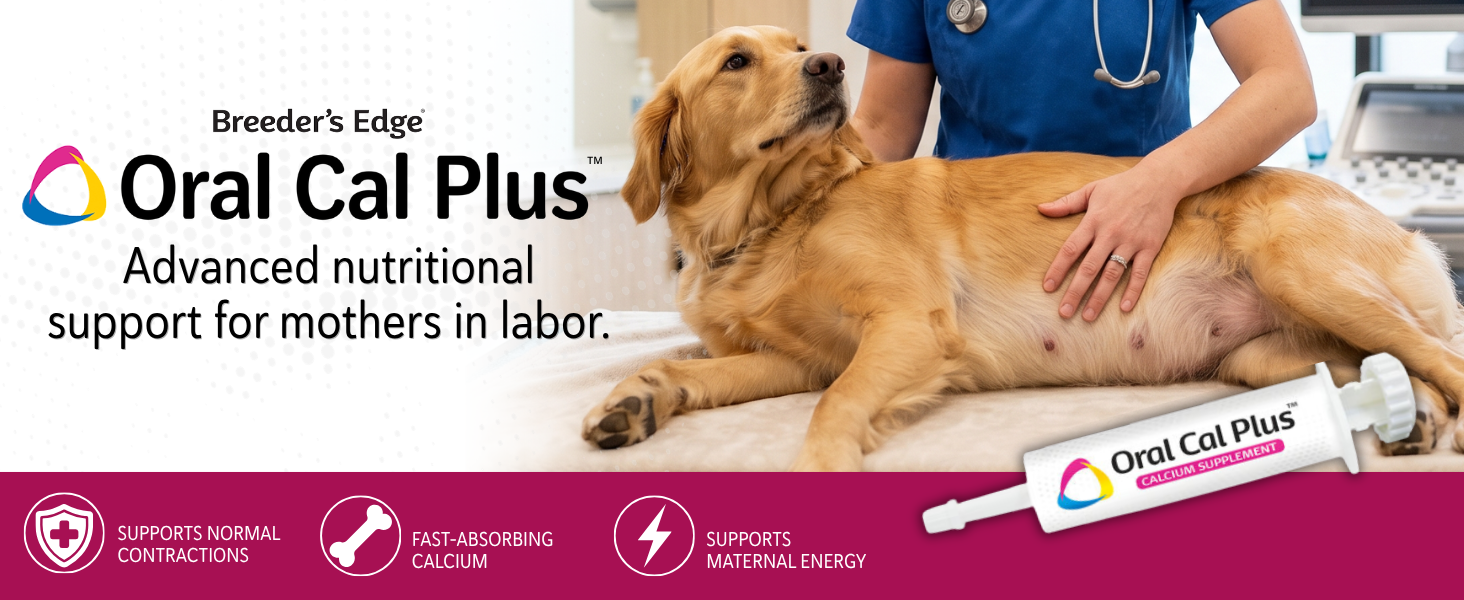 Oral Cal Plus supplement with dog exam scene and product syringe for calcium support