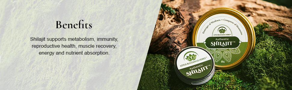 shilajit, authentic shilajit, fulvic acid, shilajit benefits, lotus blooming herbs, minerals