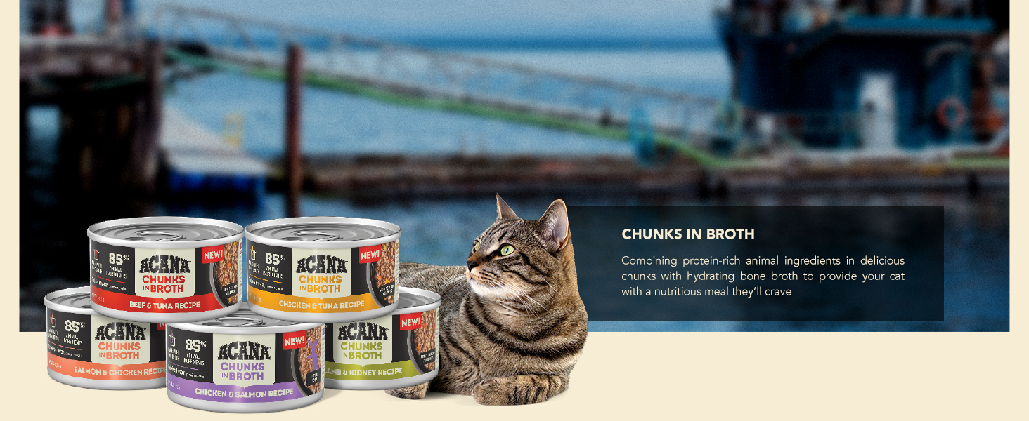 Chunks in Broth Recipes Lineup