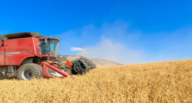 Grown on the Palouse