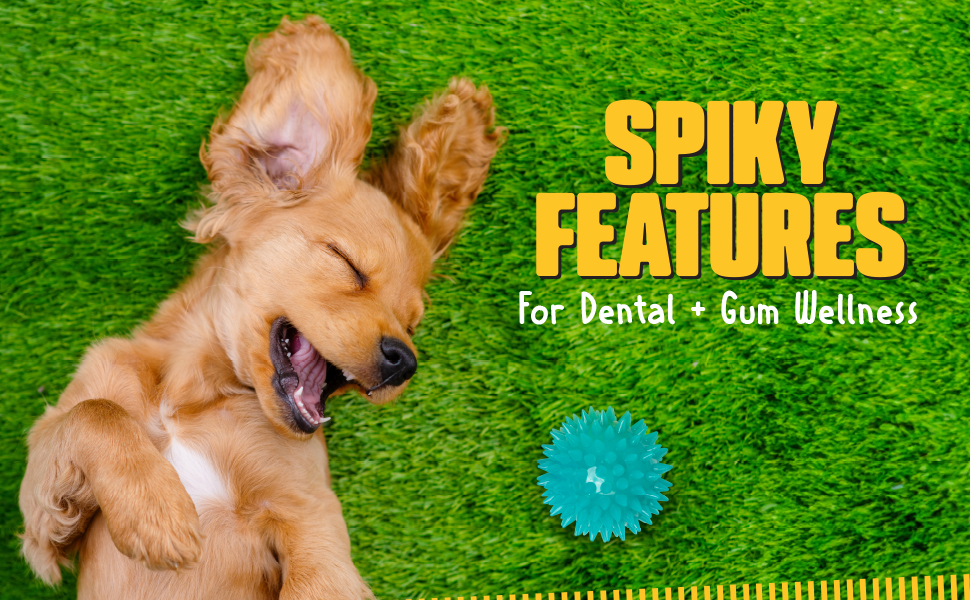 royal pet dog toy spiky feature