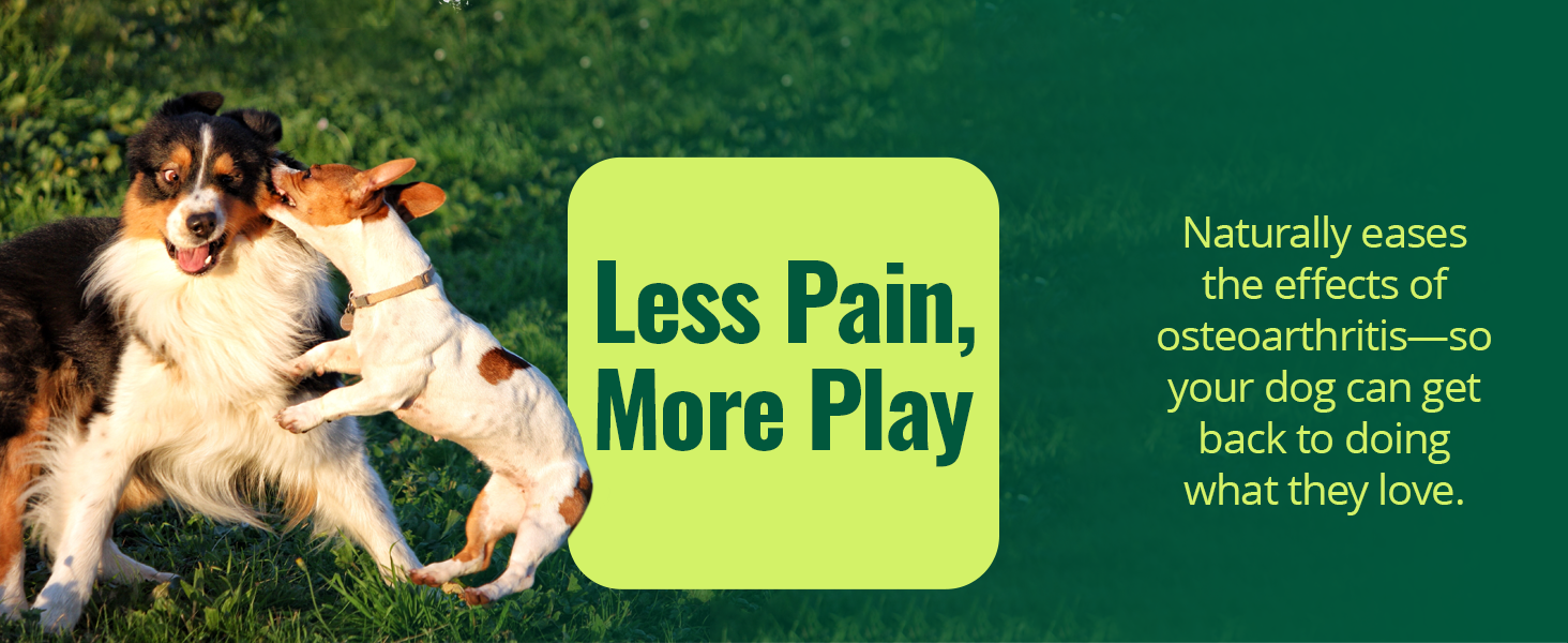 Naturally eases the effects of osteoarthritis so your dog can get back to doing what they love