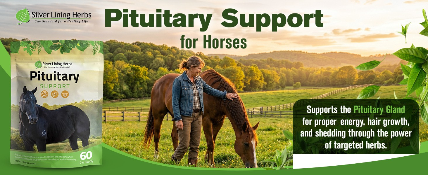 Silver Lining Herbs Pituitary Support for Horses Herbal Equine Supplement