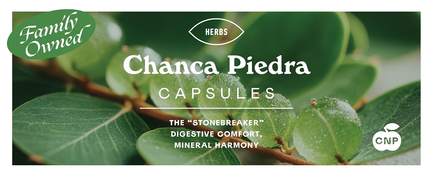 Organic Chanca Piedra capsules 500mg herbal supplement