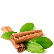 cinnamon leaf