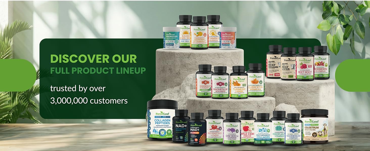 glucosamine msm