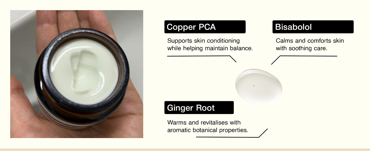 Aesop Elemental Facial Barrier Cream