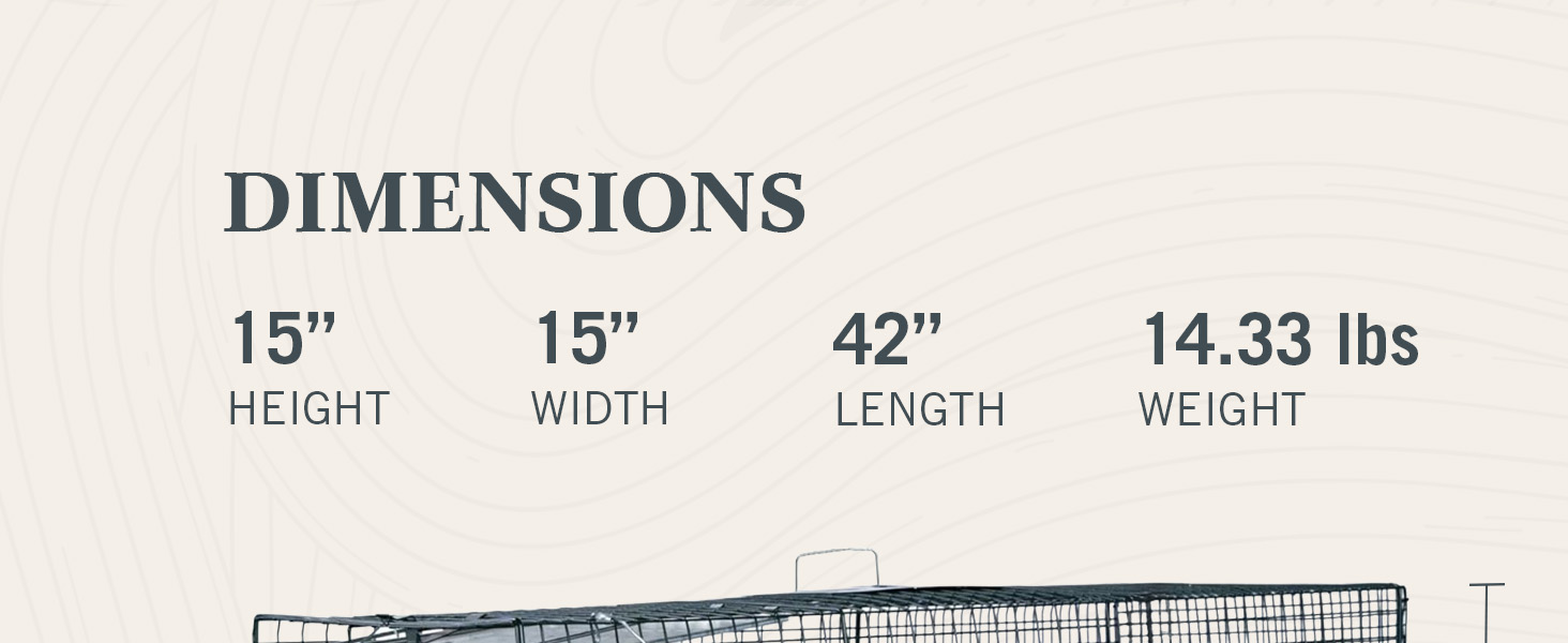 llustration depicting the size specifications in a nude color background.