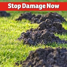stop mole and vole damage fast