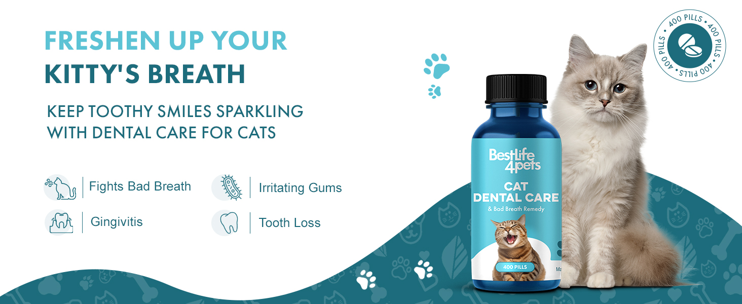 Cat Dental Health Oral Health For Cats Best Life 4 Pets Bad Breath Pills Fresh Breathe Pills for cat
