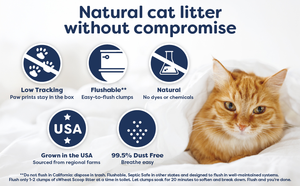 Natural cat litter without compromise.