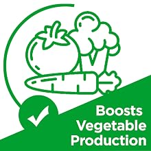 Boosts Vegetable Production