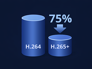 Advanced H.265+ Video Format
