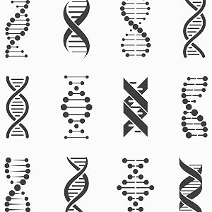 DNA test genealogy