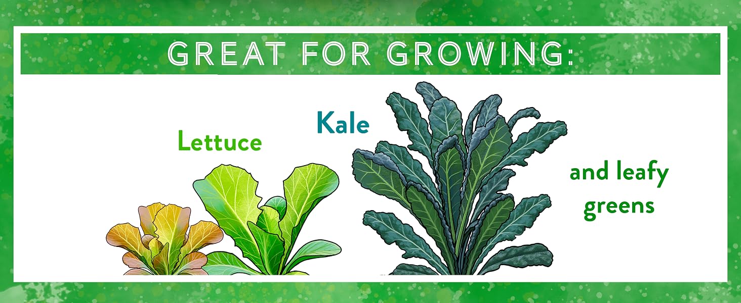 Veg Garden 3a