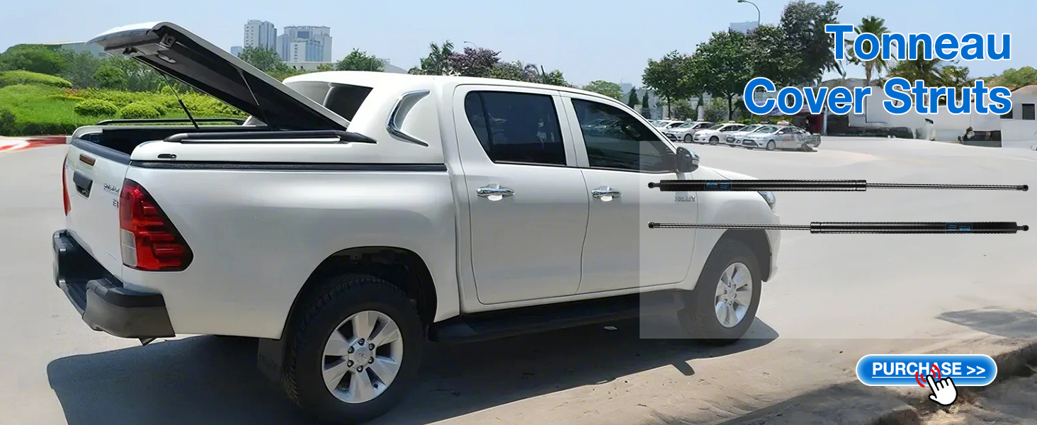ARANA gas struts