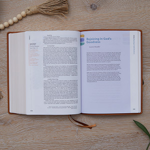 bible, key word study bible, csb bible, csb bible for women, csb bible leather, csb bible study