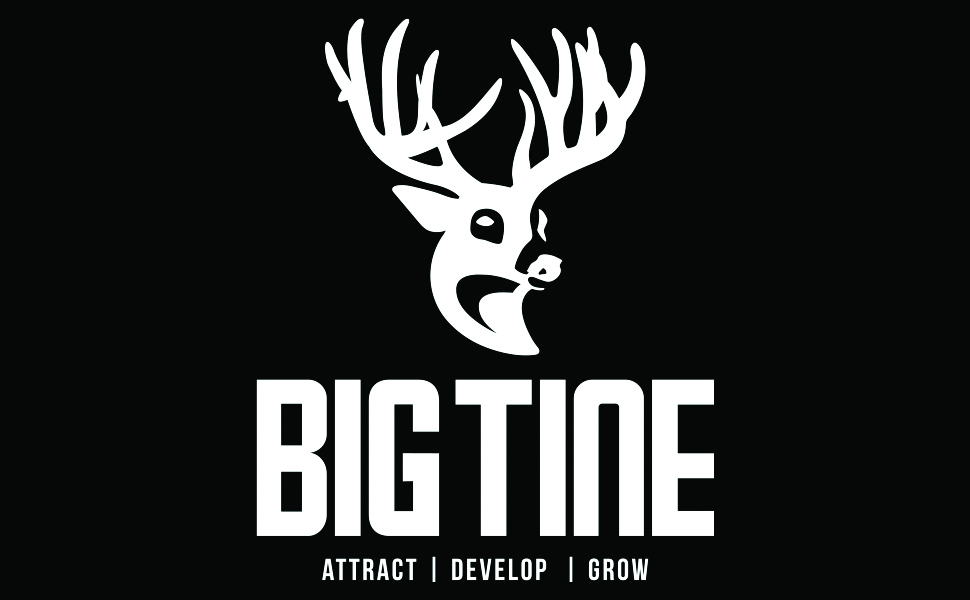 Big Tine Logo