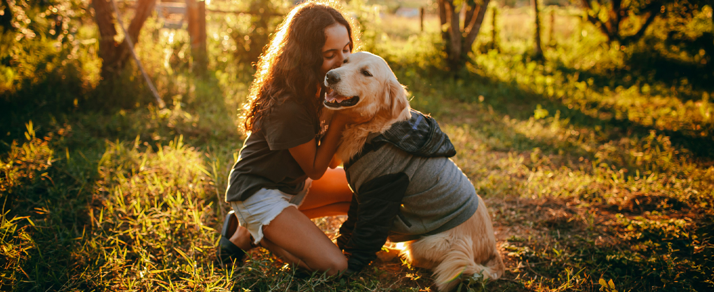 Dog eye drops, tear stain remover, allergy relief, eye wash for dogs, vet-recommended care