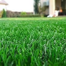 green grass house seaweed humic fulvic fertilizer spray garden turf liquid nutrients plants lawn