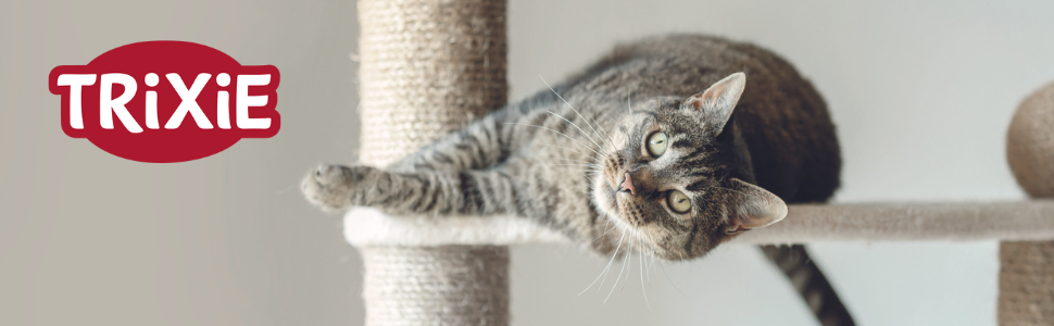 Header Cat Litter Box