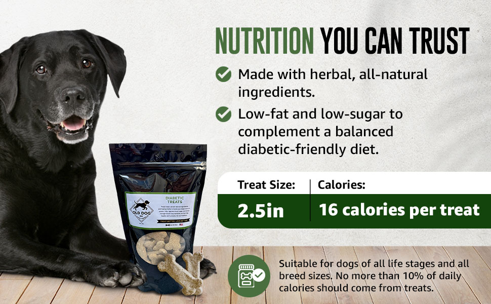 Best Healthy Chews for Dogs, Top Treat for Dogs