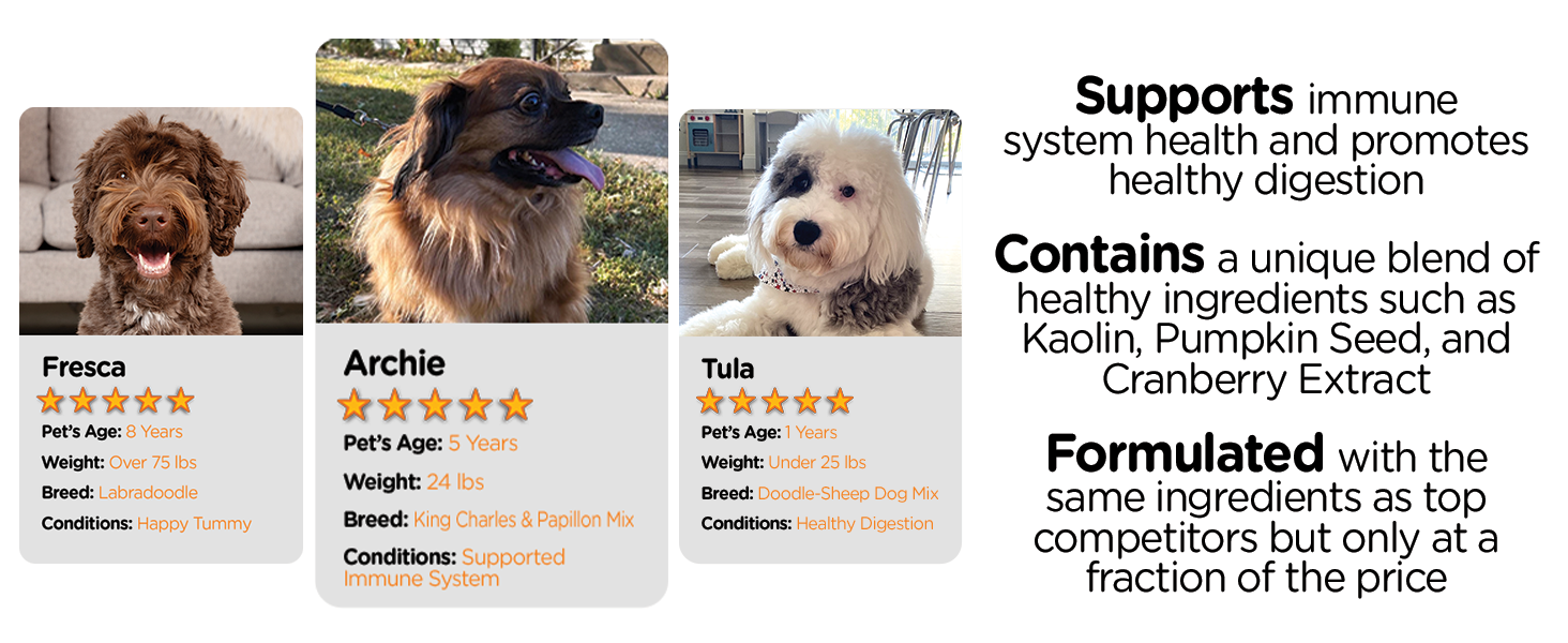Nutri-Vet Digestive, Pre &amp;amp; Probiotic, Probiotics for Dogs, Dog Stomach Problems, Upset Tummy for Dog